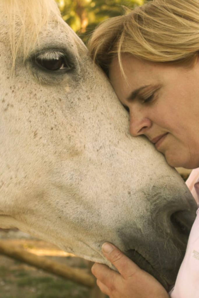 Connectie met paard reading healing
