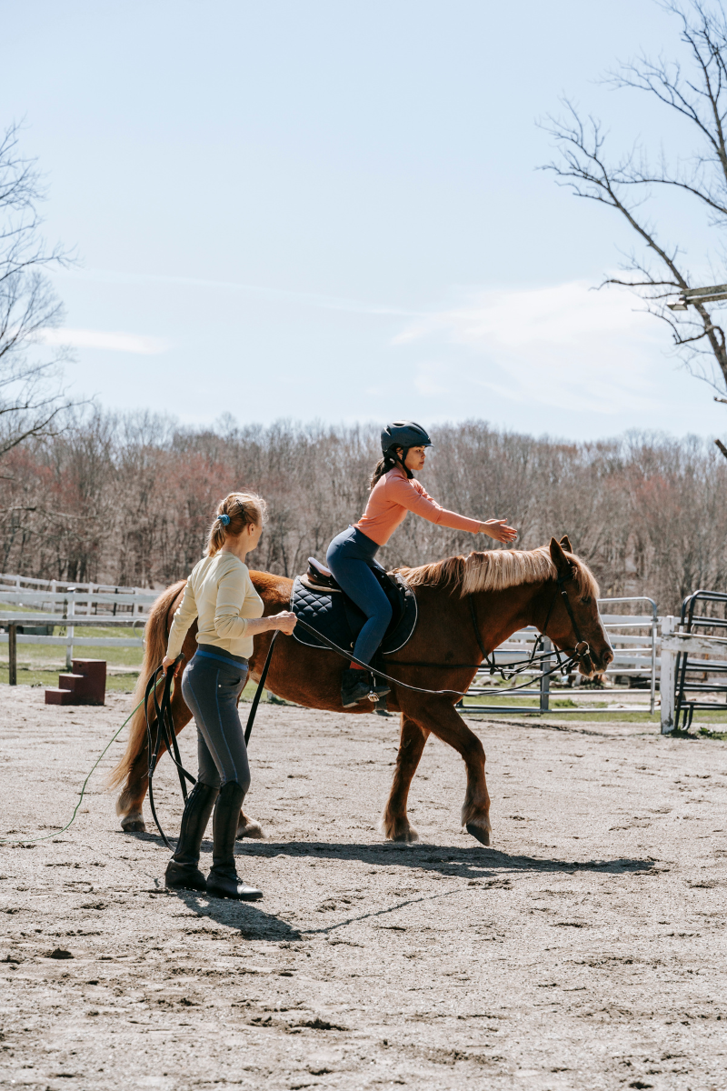 Coaching paarden trainer