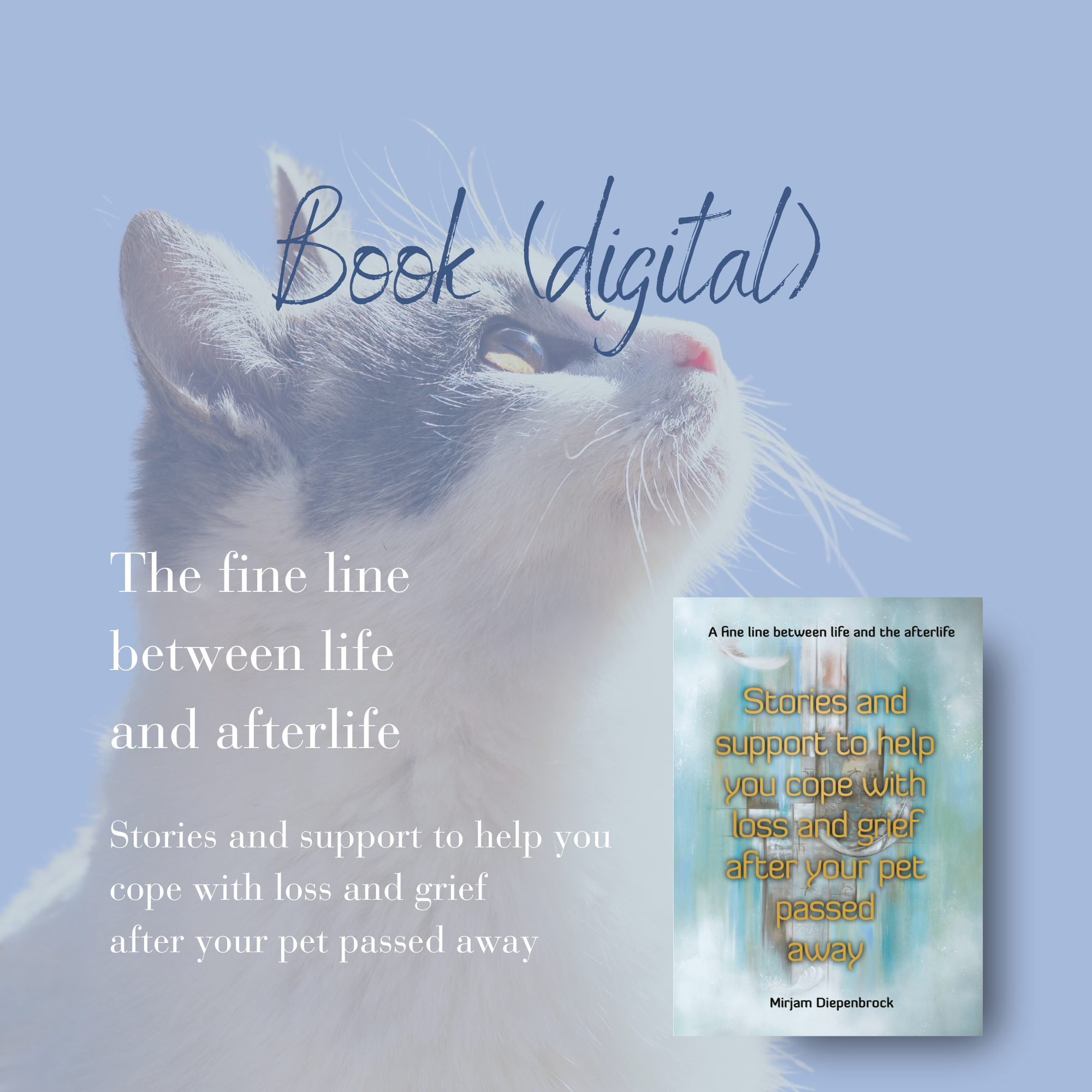 Book A Fine Line Between Life And Afterlife