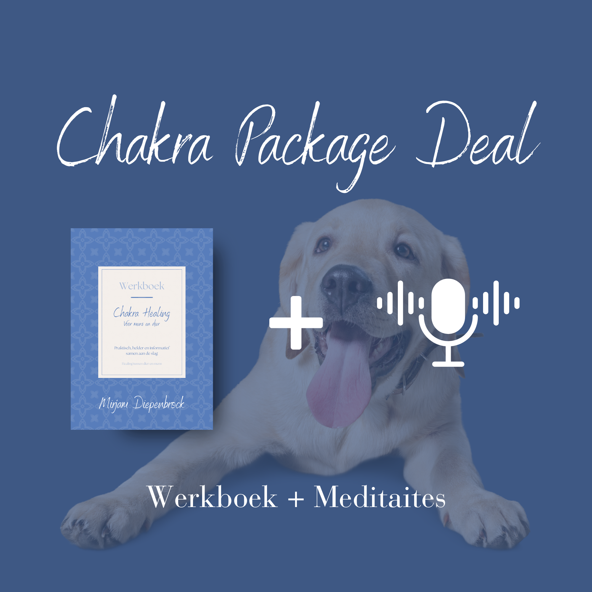 Chakra Package Deal werkboek + meditaties