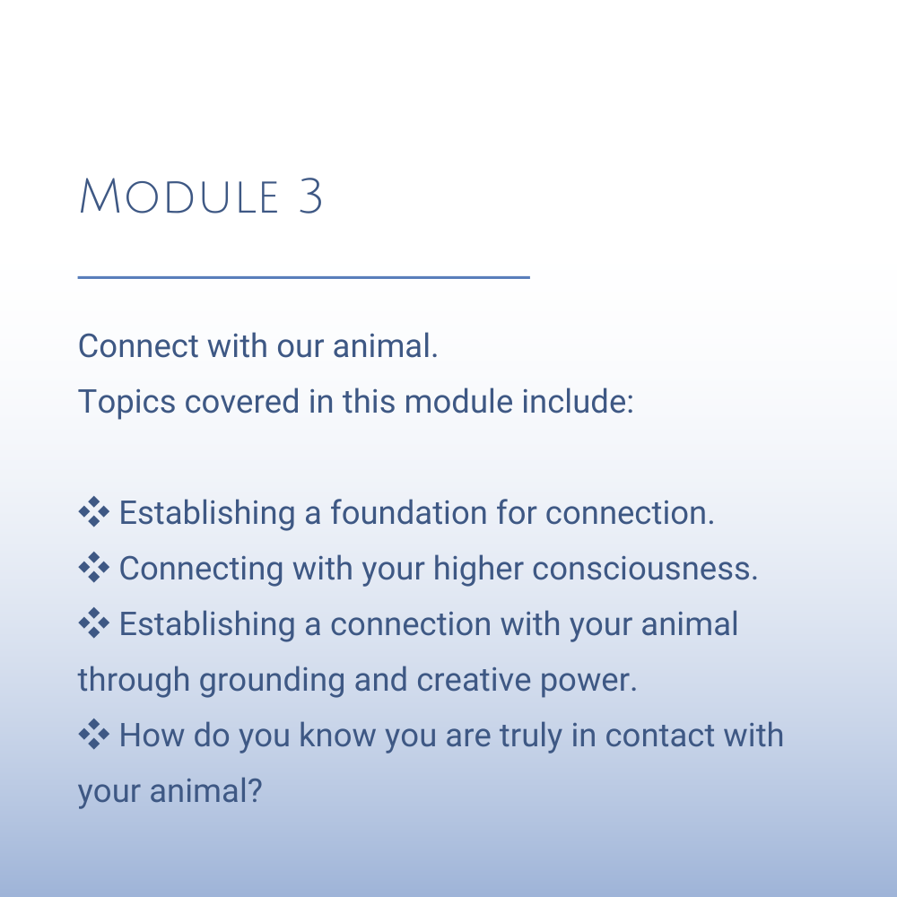 Course Animal Communication 3