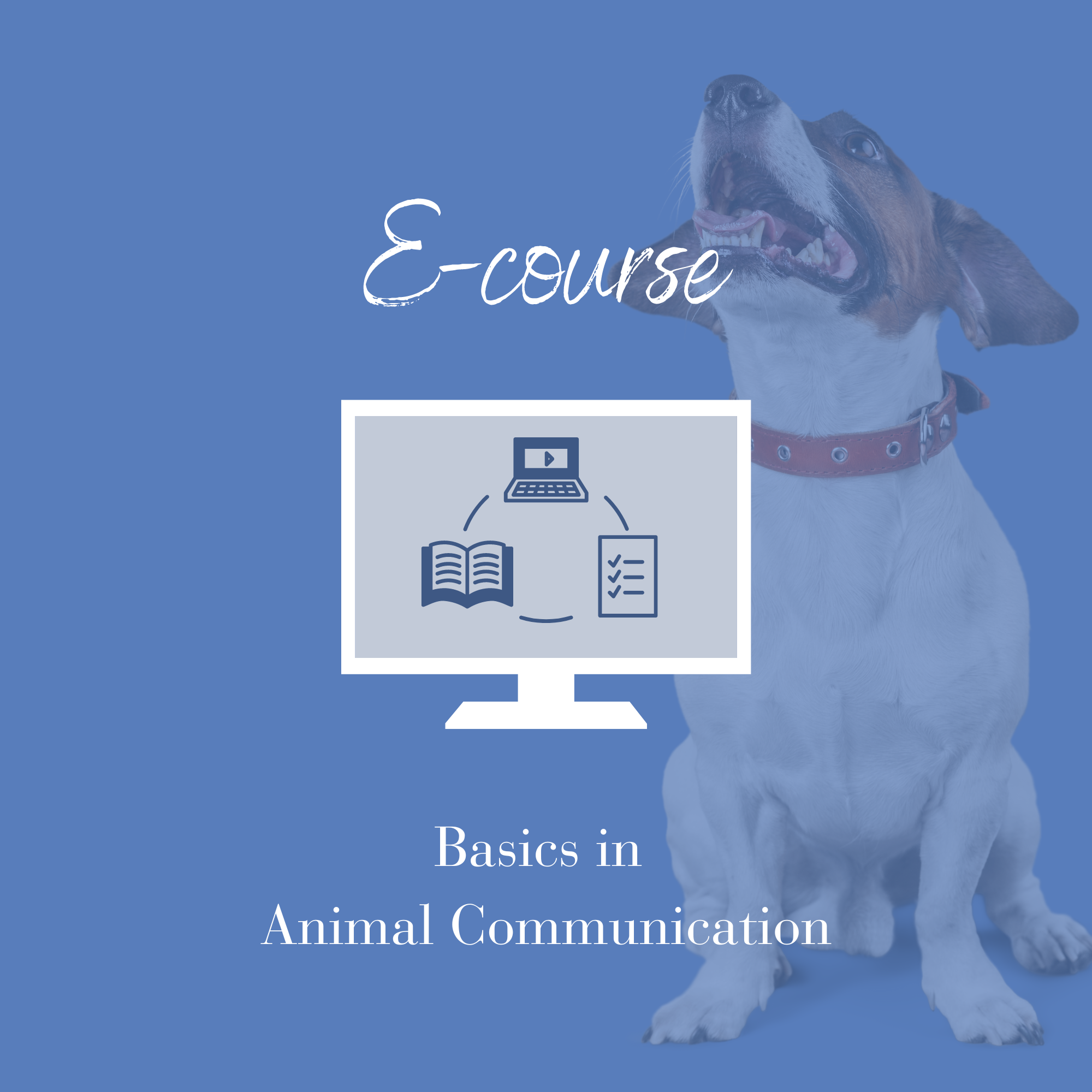 E-course Animal Communication