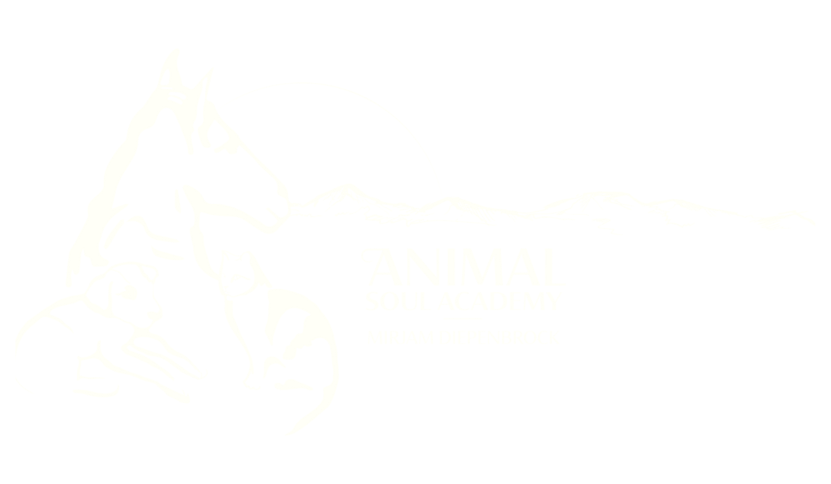 Animal Soul Academy