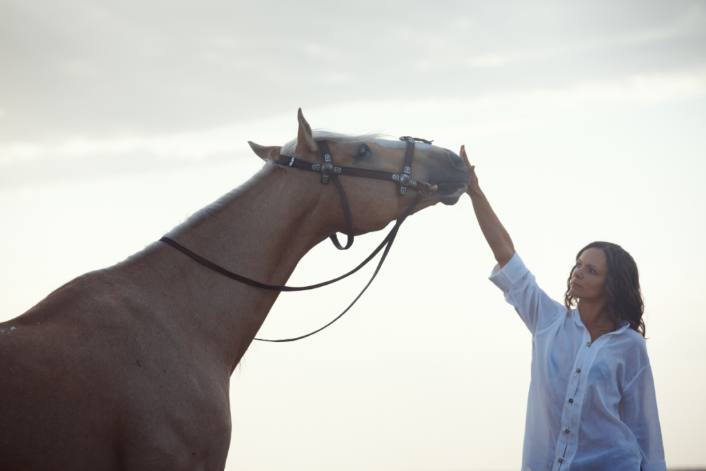 Coaching paarden dieren communicatie