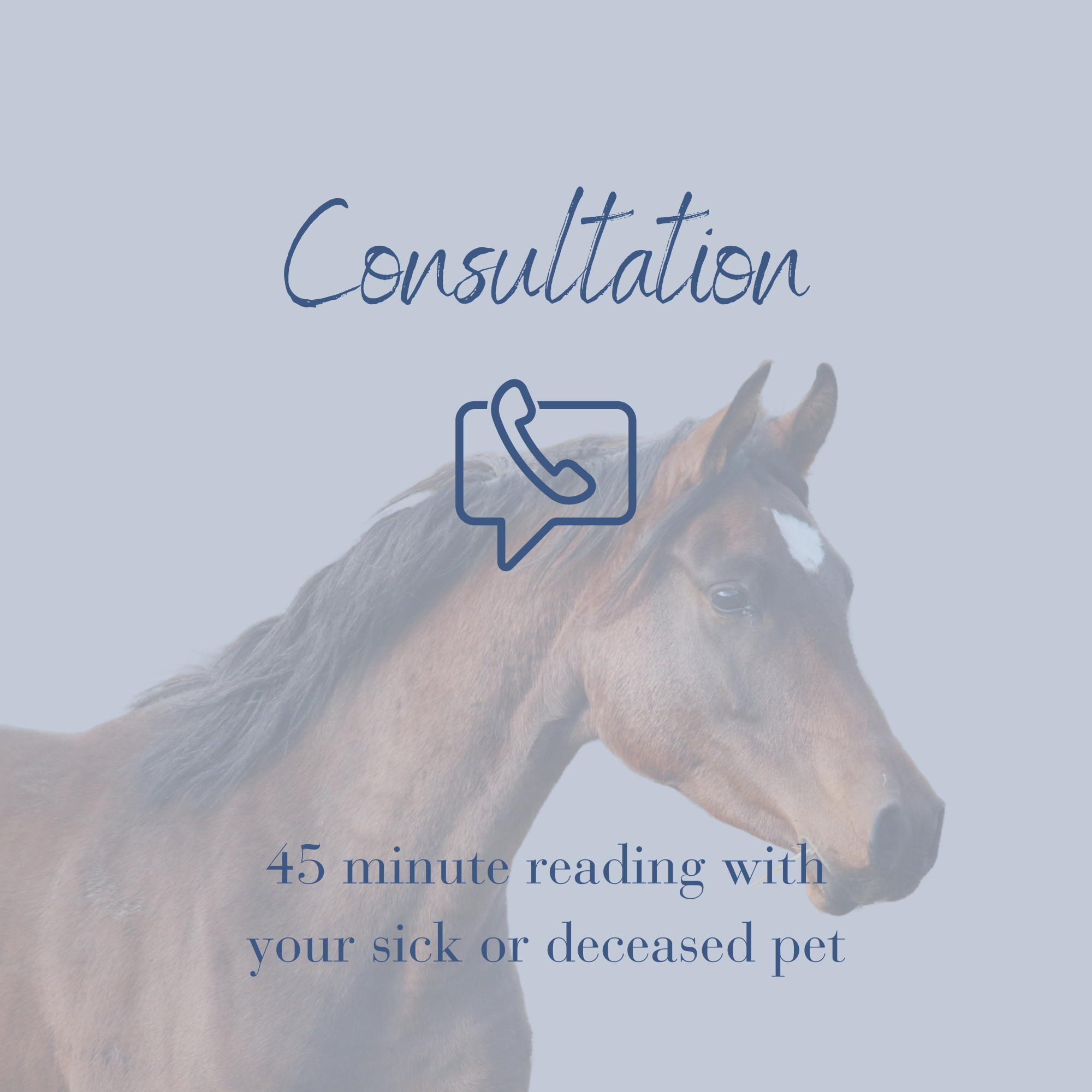 Reading deceased pet animal consultation